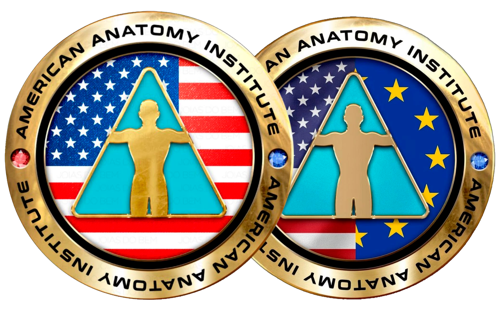 American Anatomy Institute